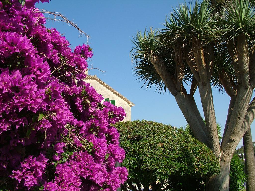 Monnaber Vell Hotell Campanet
